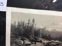 Afdruk: calamé - afbeelding 2 van  3