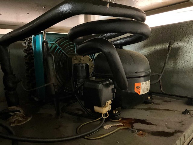 Afinox - mkg 70 green - koelkast - afbeelding 6 van  6