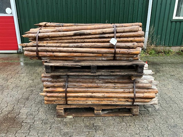 Afrasterpalen - afbeelding 1 van  2