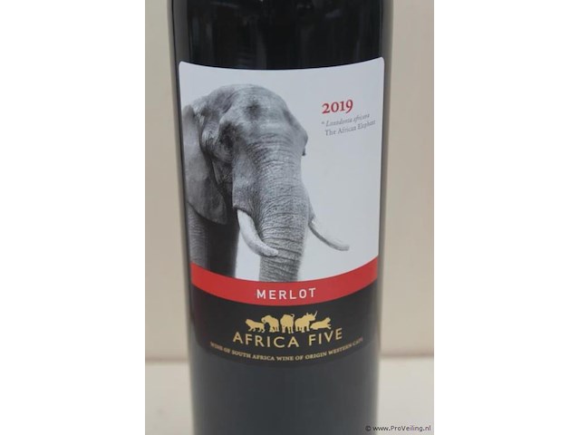 Africa five merlot - 75 cl - winkelverkoopprijs € 6.95 - afbeelding 2 van  3