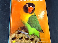 Agapornissen - afbeelding 1 van  5