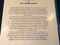 Agapornissen - afbeelding 2 van  5