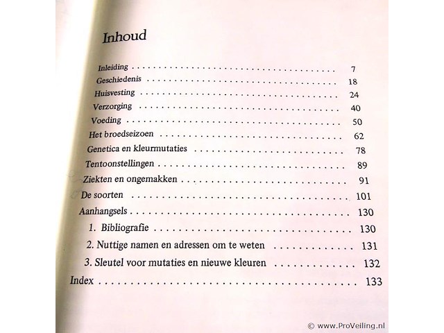 Agapornissen - afbeelding 3 van  5