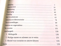 Agapornissen - afbeelding 3 van  5