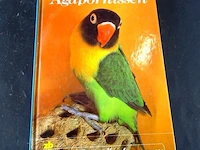 Agapornissen