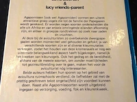 Agapornissen - afbeelding 2 van  5