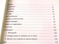 Agapornissen - afbeelding 3 van  5