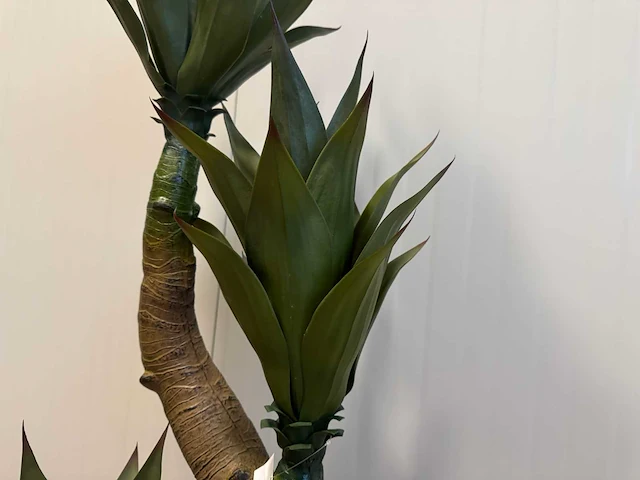 Agave kunstplant (125cm hoog) (2x) - afbeelding 2 van  16