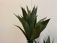 Agave kunstplant (125cm hoog) (2x) - afbeelding 16 van  16
