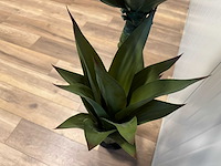 Agave kunstplant (125cm hoog) - afbeelding 9 van  13
