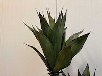 Agave kunstplant (125cm hoog) - afbeelding 7 van  8