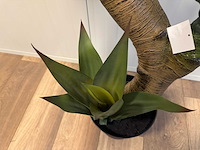Agave kunstplant (125cm hoog) - afbeelding 12 van  13