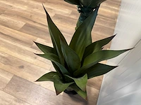 Agave kunstplant (125cm hoog) - afbeelding 5 van  16