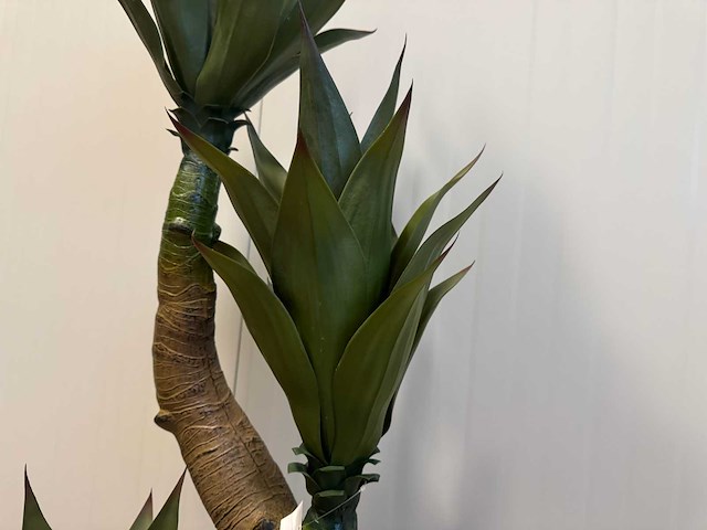 Agave kunstplant (125cm hoog) - afbeelding 9 van  12