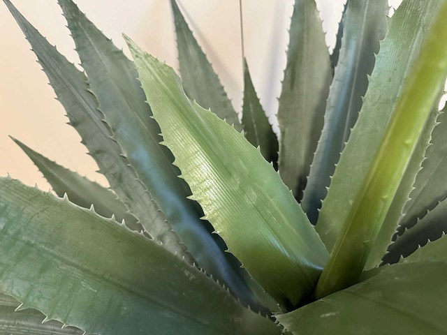 Agave kunstplant (95cm hoog) - afbeelding 11 van  13