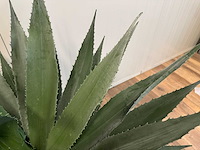 Agave kunstplant (95cm hoog) - afbeelding 4 van  13