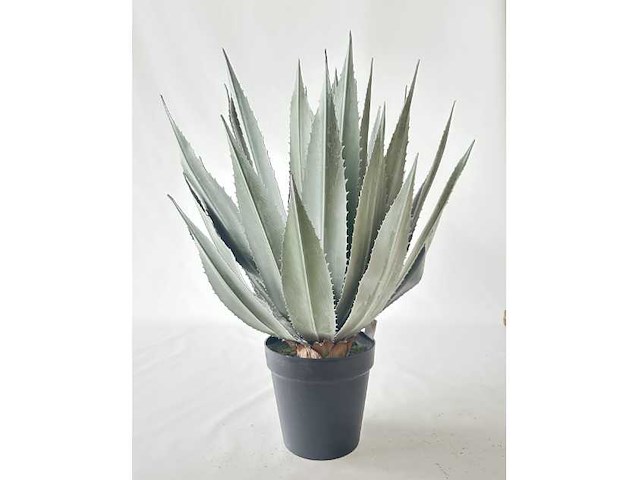 Agave kunstplant (95cm hoog) - afbeelding 6 van  13
