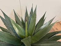 Agave kunstplant (95cm hoog) - afbeelding 12 van  13