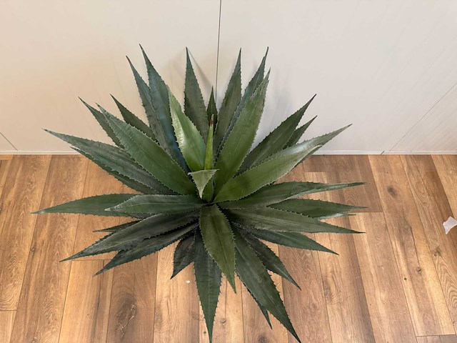 Agave kunstplant (95cm hoog) - afbeelding 13 van  13