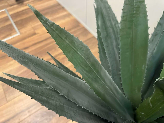 Agave kunstplant (95cm hoog) - afbeelding 4 van  14