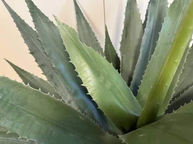 Agave kunstplant (95cm hoog) - afbeelding 5 van  14