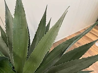 Agave kunstplant (95cm hoog) - afbeelding 6 van  14