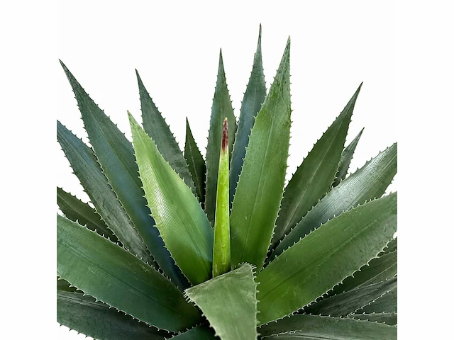 Agave kunstplant (95cm hoog) - afbeelding 8 van  14