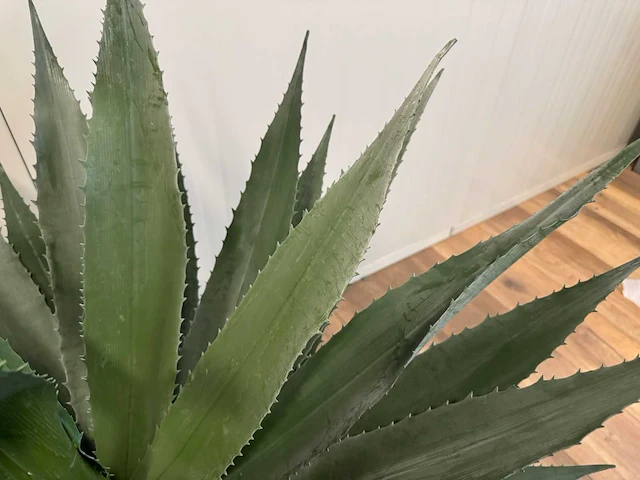 Agave kunstplant (95cm hoog) - afbeelding 6 van  14