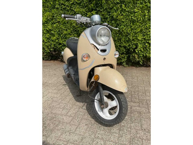 Agm - snorscooter - d-855-tz - afbeelding 3 van  10