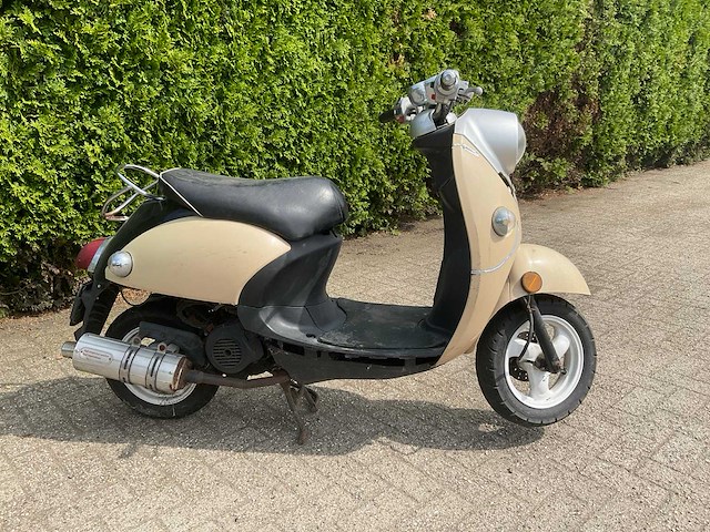 Agm - snorscooter - d-855-tz - afbeelding 5 van  10