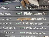 Agnes onestep plafondplaten (15x) - afbeelding 3 van  6