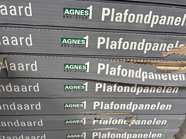 Agnes onestep plafondplaten (15x) - afbeelding 4 van  6