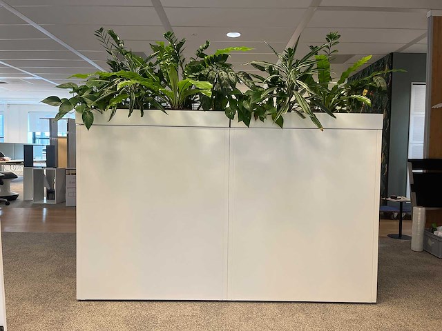 Ahrend - akoestische schuifdeurkast met planten - afbeelding 6 van  16