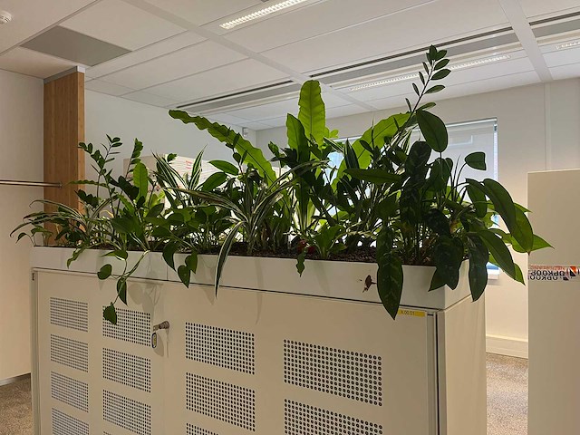 Ahrend - akoestische schuifdeurkast met planten - afbeelding 10 van  16