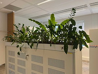 Ahrend - akoestische schuifdeurkast met planten - afbeelding 10 van  16