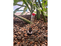Ahrend - akoestische schuifdeurkast met planten - afbeelding 3 van  5