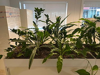 Ahrend - akoestische schuifdeurkast met planten - afbeelding 7 van  16