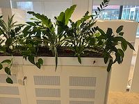 Ahrend - akoestische schuifdeurkast met planten - afbeelding 8 van  16