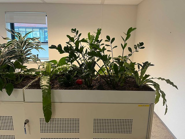Ahrend - akoestische schuifdeurkast met planten - afbeelding 3 van  5