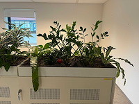 Ahrend - akoestische schuifdeurkast met planten - afbeelding 3 van  5