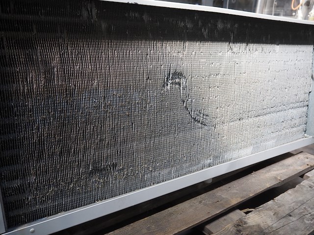 Aia - afbeelding 6 van  7