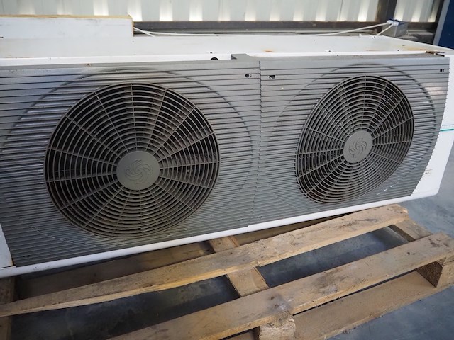 Aia - afbeelding 5 van  6