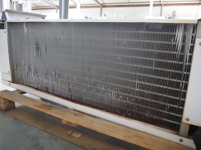 Aia - afbeelding 6 van  6