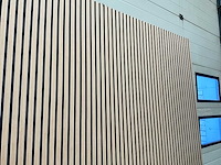 Akoestisch wandpaneel licht eiken 2600x60mm (8x) - afbeelding 7 van  9