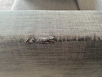 Akoestische stoel - afbeelding 5 van  5