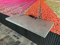 Akoestische wandpanelen - afbeelding 3 van  10