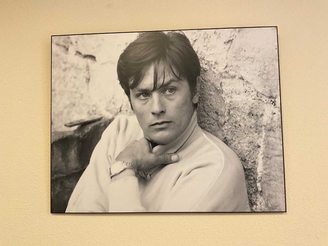 Alain delon wanddecoratie (3x) - afbeelding 2 van  5