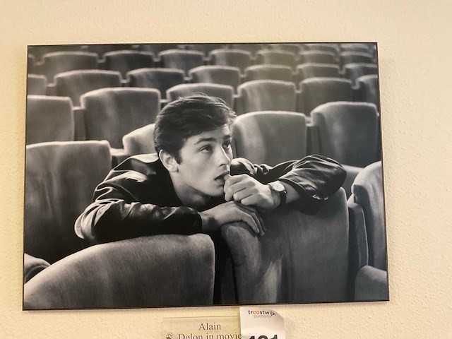 Alain delon wanddecoratie (3x) - afbeelding 3 van  5