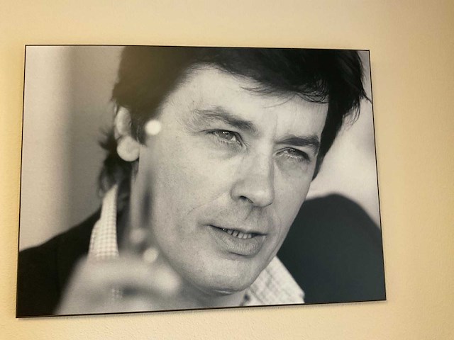 Alain delon wanddecoratie (3x) - afbeelding 4 van  5