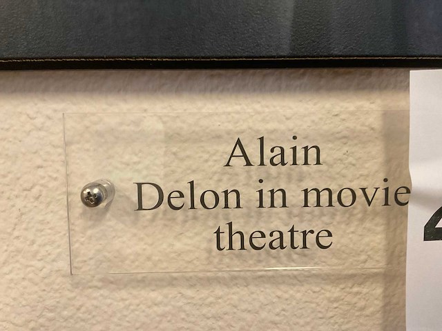 Alain delon wanddecoratie (3x) - afbeelding 5 van  5